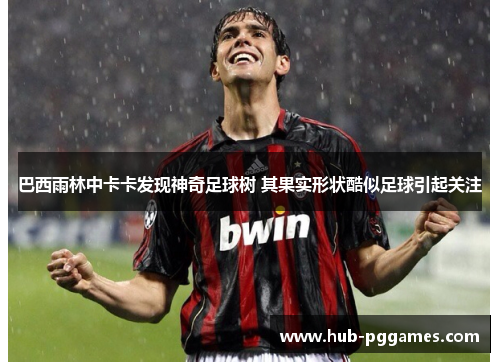 巴西雨林中卡卡发现神奇足球树 其果实形状酷似足球引起关注 巴西雨林中卡卡发现神奇足球树 其果实形状酷似足球引起关注