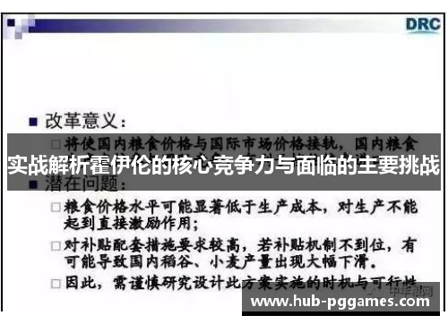 实战解析霍伊伦的核心竞争力与面临的主要挑战