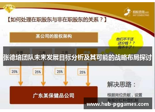 张德培团队未来发展目标分析及其可能的战略布局探讨