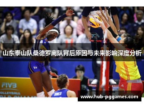 山东泰山队桑德罗离队背后原因与未来影响深度分析 山东泰山队桑德罗离队背后原因与未来影响深度分析