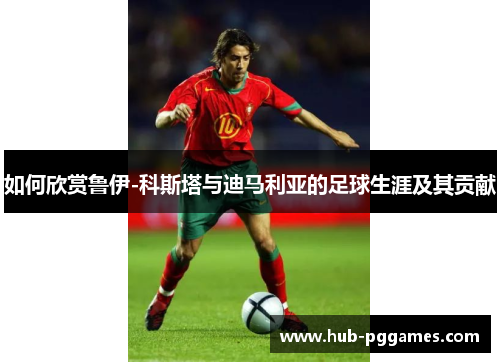 如何欣赏鲁伊-科斯塔与迪马利亚的足球生涯及其贡献